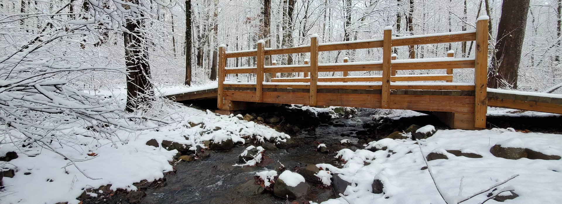 Green Trail Bridge